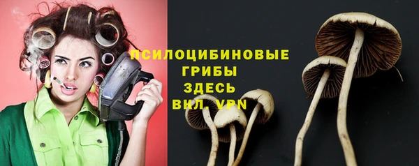марки lsd Алзамай