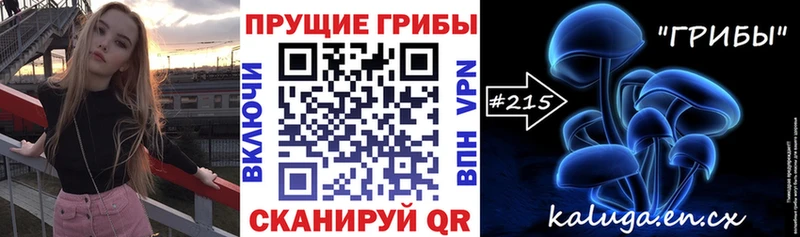 MEGA   Тамбов  Псилоцибиновые грибы GOLDEN TEACHER 